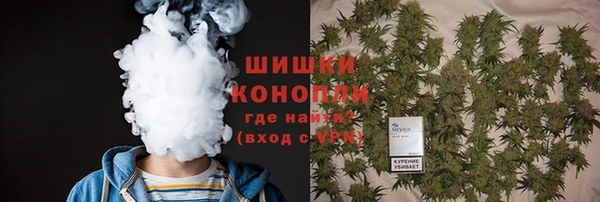 ПСИЛОЦИБИНОВЫЕ ГРИБЫ Алексин