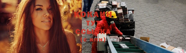 ПСИЛОЦИБИНОВЫЕ ГРИБЫ Алексин