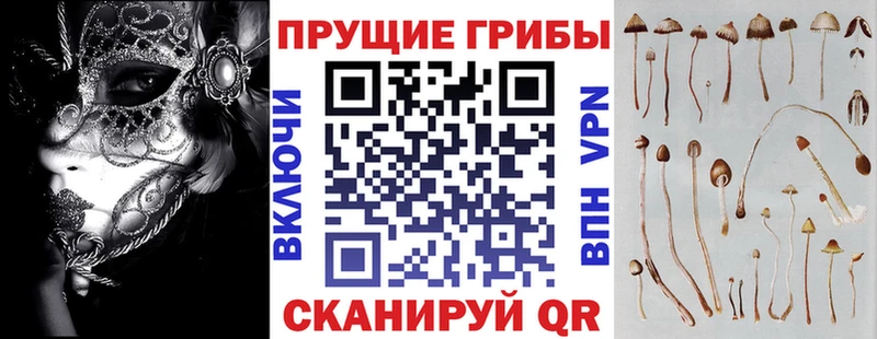 Псилоцибиновые грибы GOLDEN TEACHER  Аксай 